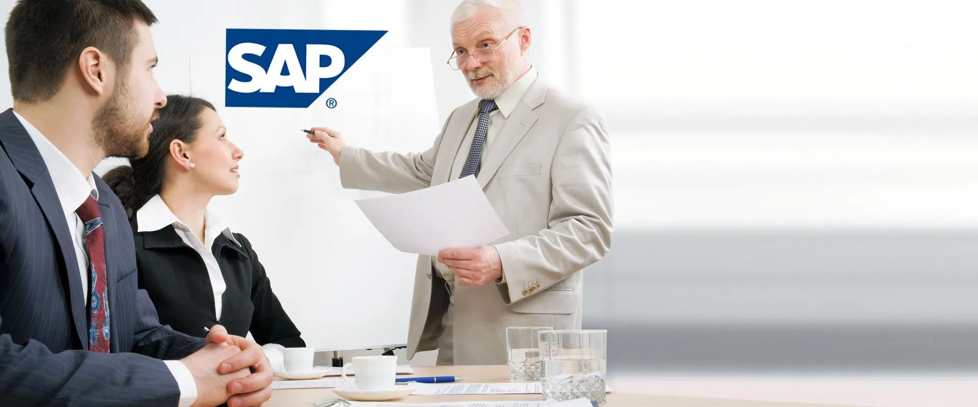 SAP SEM Consulting