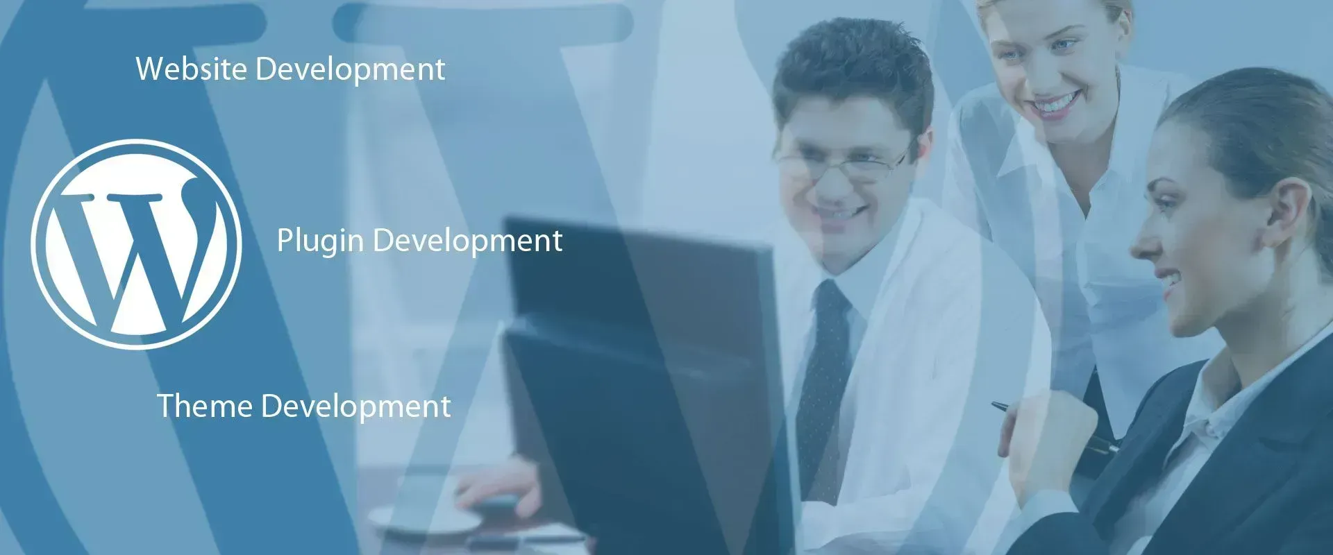 WordPress Consulting 