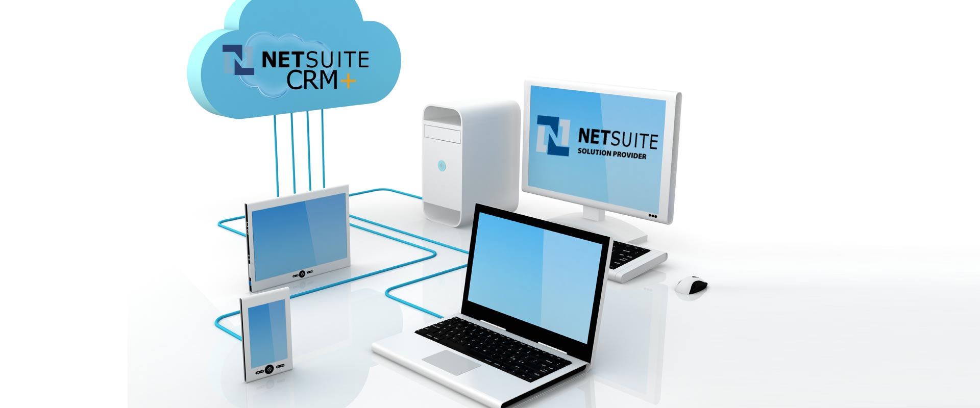 NetSuite CRM Consulting 