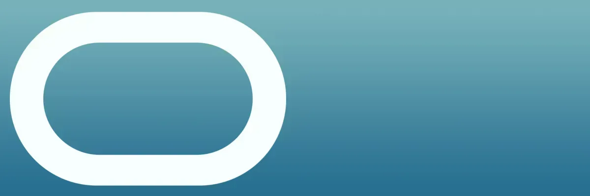 Oracle Fusion Consulting 