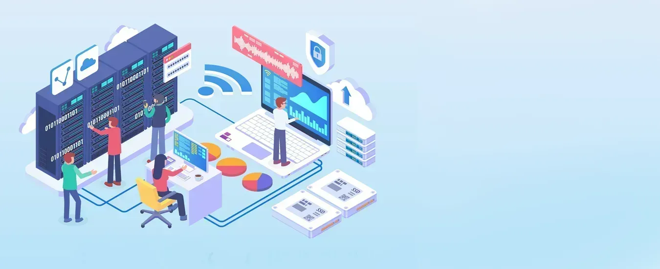 Networking services Consulting