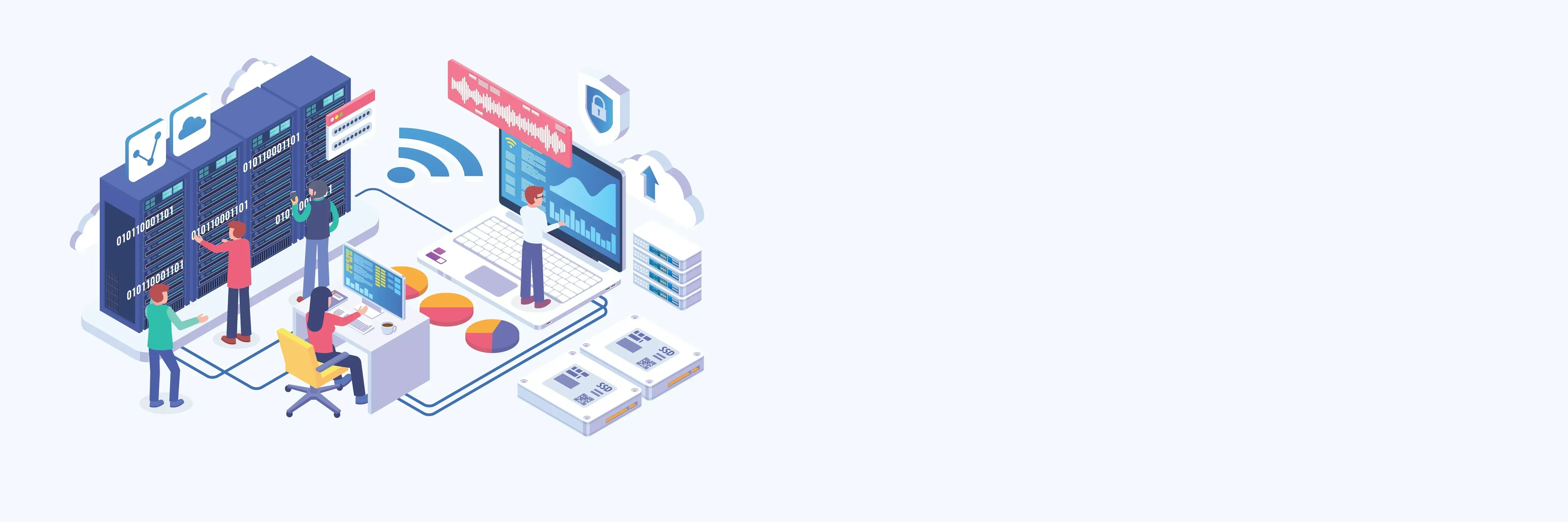 Networking services Consulting