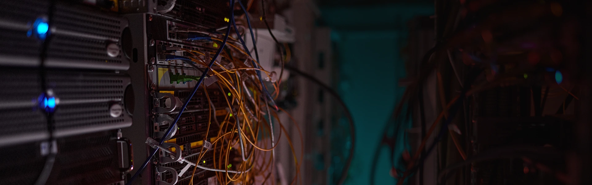 Networking services Consulting