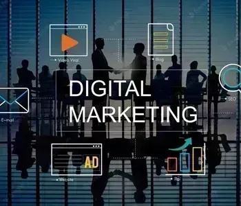 Digital Marketing Consultant