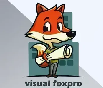 visual foxpro developer