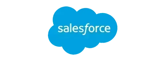 circular-img-tech_icon-salesforce_ic