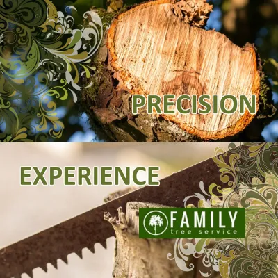 Tree-resident-and-commercial-services--Web-Design-And-Development-