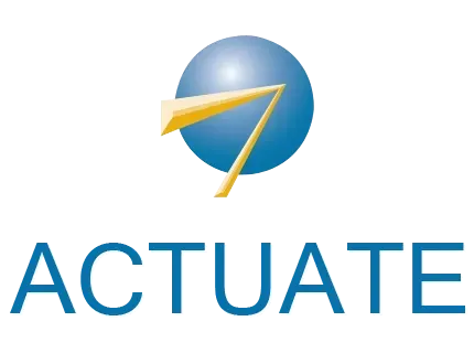 ACTUATE REPORT CONSULTING AND DEVELOPMENT SERVICES