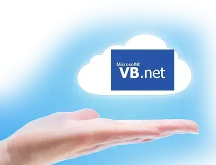 VB.NET DEVELOPMENT