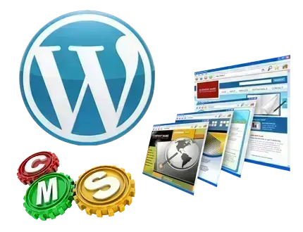 Web Design Agency