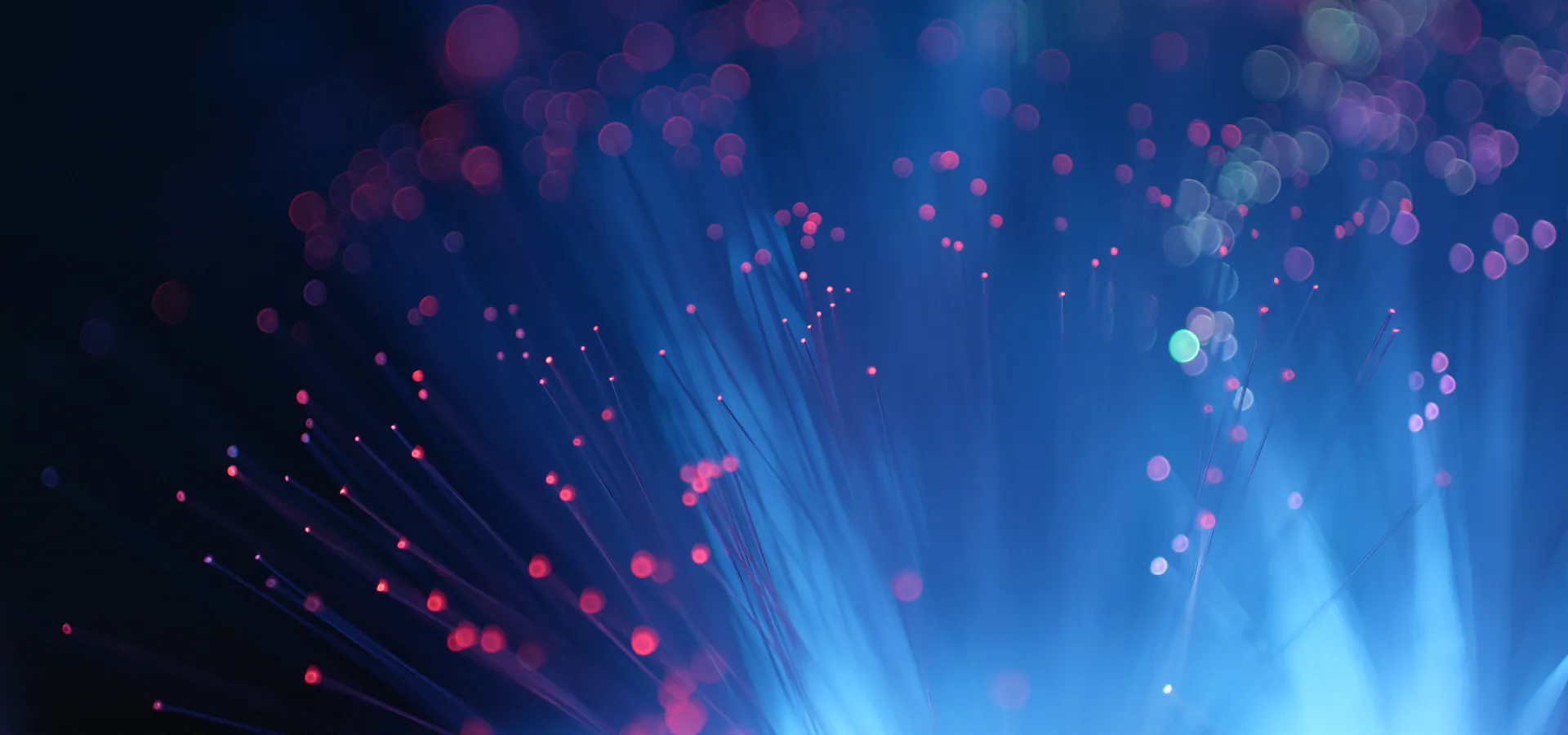 Top iOS app Consulting company Top iOS app Consulting company: glowing blue and pink fiber optic strands